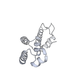 42270_8uhd_D_v1-0
Structure of paused transcription complex Pol II-DSIF-NELF - post-translocated