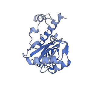 42270_8uhd_E_v1-0
Structure of paused transcription complex Pol II-DSIF-NELF - post-translocated