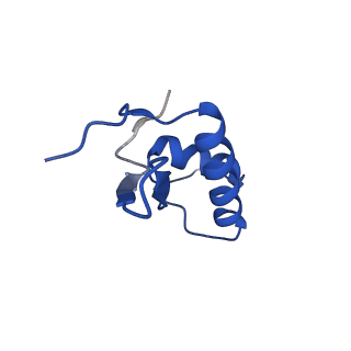 42270_8uhd_F_v1-0
Structure of paused transcription complex Pol II-DSIF-NELF - post-translocated