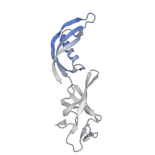 42270_8uhd_G_v1-0
Structure of paused transcription complex Pol II-DSIF-NELF - post-translocated