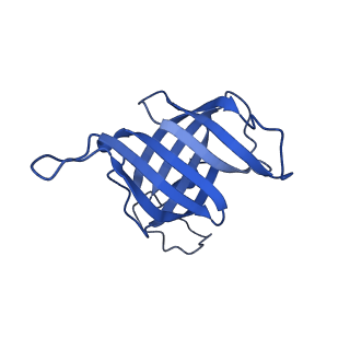 42270_8uhd_H_v1-0
Structure of paused transcription complex Pol II-DSIF-NELF - post-translocated