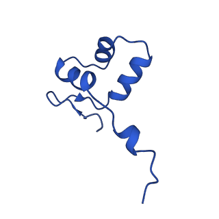 42270_8uhd_J_v1-0
Structure of paused transcription complex Pol II-DSIF-NELF - post-translocated