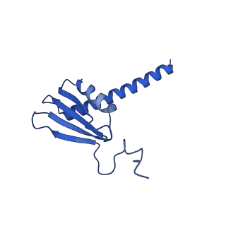 42270_8uhd_K_v1-0
Structure of paused transcription complex Pol II-DSIF-NELF - post-translocated