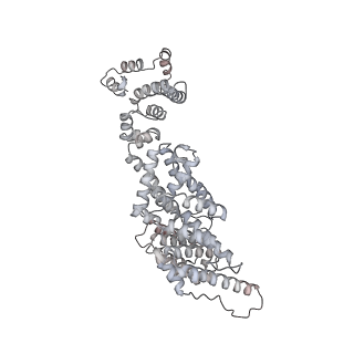 42270_8uhd_V_v1-0
Structure of paused transcription complex Pol II-DSIF-NELF - post-translocated