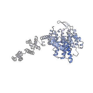 42270_8uhd_W_v1-0
Structure of paused transcription complex Pol II-DSIF-NELF - post-translocated