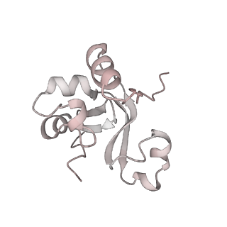 42270_8uhd_Y_v1-0
Structure of paused transcription complex Pol II-DSIF-NELF - post-translocated