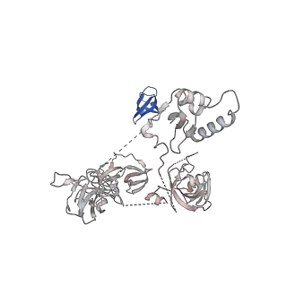 42270_8uhd_Z_v1-0
Structure of paused transcription complex Pol II-DSIF-NELF - post-translocated