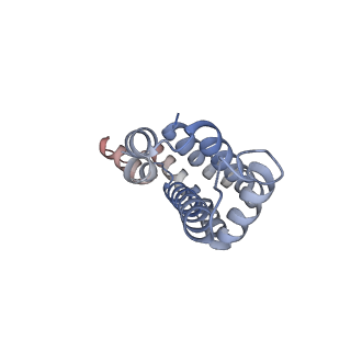 42278_8uhe_F_v1-1
Structure of the far-red light-absorbing allophycocyanin core expressed during FaRLiP