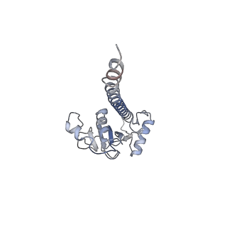 42279_8uhf_B_v1-0
Cryo-EM of Vibrio cholerae toxin co-regulated pilus - asymmetric reconstruction