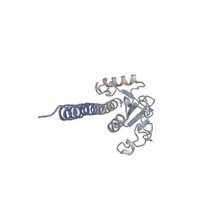 42279_8uhf_C_v1-0
Cryo-EM of Vibrio cholerae toxin co-regulated pilus - asymmetric reconstruction