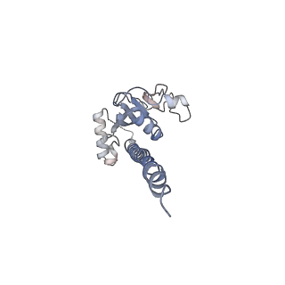 42279_8uhf_D_v1-0
Cryo-EM of Vibrio cholerae toxin co-regulated pilus - asymmetric reconstruction
