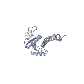 42279_8uhf_E_v1-0
Cryo-EM of Vibrio cholerae toxin co-regulated pilus - asymmetric reconstruction