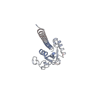 42279_8uhf_F_v1-0
Cryo-EM of Vibrio cholerae toxin co-regulated pilus - asymmetric reconstruction