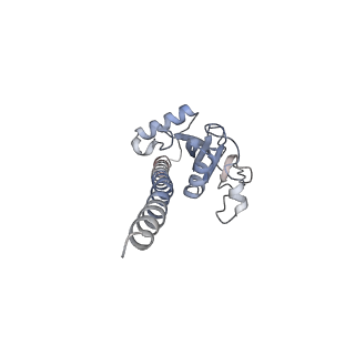 42279_8uhf_G_v1-0
Cryo-EM of Vibrio cholerae toxin co-regulated pilus - asymmetric reconstruction