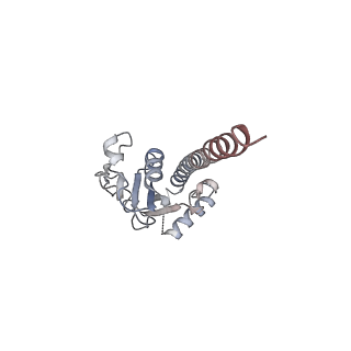 42279_8uhf_I_v1-0
Cryo-EM of Vibrio cholerae toxin co-regulated pilus - asymmetric reconstruction