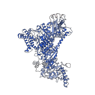 42280_8uhg_A_v1-0
Structure of paused transcription complex Pol II-DSIF-NELF - poised post-translocated
