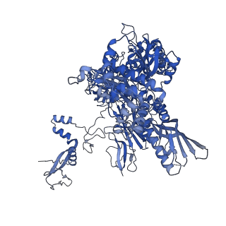 42280_8uhg_B_v1-0
Structure of paused transcription complex Pol II-DSIF-NELF - poised post-translocated