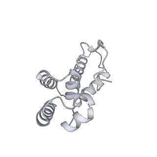 42280_8uhg_D_v1-0
Structure of paused transcription complex Pol II-DSIF-NELF - poised post-translocated