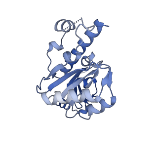 42280_8uhg_E_v1-0
Structure of paused transcription complex Pol II-DSIF-NELF - poised post-translocated