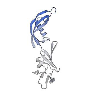 42280_8uhg_G_v1-0
Structure of paused transcription complex Pol II-DSIF-NELF - poised post-translocated