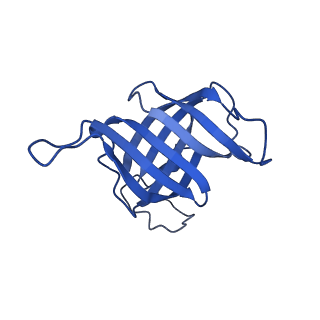42280_8uhg_H_v1-0
Structure of paused transcription complex Pol II-DSIF-NELF - poised post-translocated