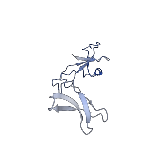 42280_8uhg_I_v1-0
Structure of paused transcription complex Pol II-DSIF-NELF - poised post-translocated