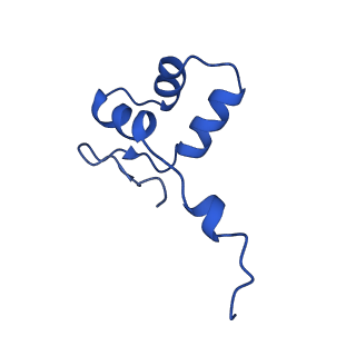 42280_8uhg_J_v1-0
Structure of paused transcription complex Pol II-DSIF-NELF - poised post-translocated