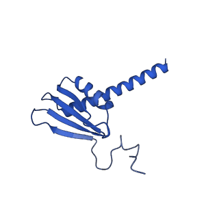 42280_8uhg_K_v1-0
Structure of paused transcription complex Pol II-DSIF-NELF - poised post-translocated