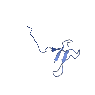 42280_8uhg_L_v1-0
Structure of paused transcription complex Pol II-DSIF-NELF - poised post-translocated