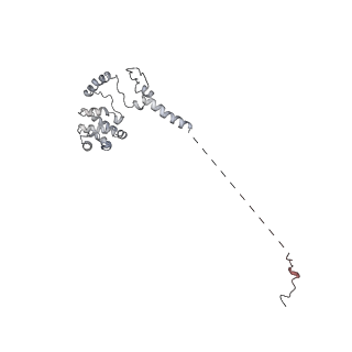 42280_8uhg_U_v1-0
Structure of paused transcription complex Pol II-DSIF-NELF - poised post-translocated