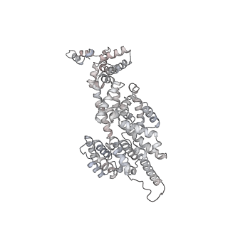 42280_8uhg_V_v1-0
Structure of paused transcription complex Pol II-DSIF-NELF - poised post-translocated