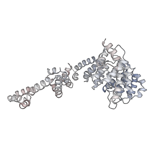 42280_8uhg_W_v1-0
Structure of paused transcription complex Pol II-DSIF-NELF - poised post-translocated