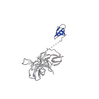 42280_8uhg_Z_v1-0
Structure of paused transcription complex Pol II-DSIF-NELF - poised post-translocated