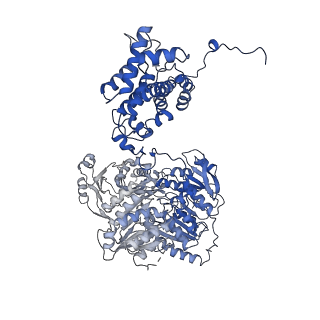 20783_6ui9_A_v1-2
Structure of human ATP citrate lyase in complex with acetyl-CoA and oxaloacetate
