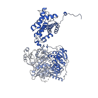 20783_6ui9_A_v2-1
Structure of human ATP citrate lyase in complex with acetyl-CoA and oxaloacetate