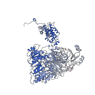 20783_6ui9_B_v1-2
Structure of human ATP citrate lyase in complex with acetyl-CoA and oxaloacetate