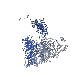 20783_6ui9_B_v2-0
Structure of human ATP citrate lyase in complex with acetyl-CoA and oxaloacetate
