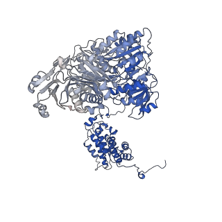 20783_6ui9_C_v1-2
Structure of human ATP citrate lyase in complex with acetyl-CoA and oxaloacetate