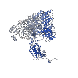 20783_6ui9_C_v2-0
Structure of human ATP citrate lyase in complex with acetyl-CoA and oxaloacetate