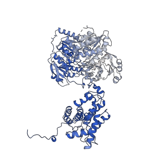 20783_6ui9_D_v2-0
Structure of human ATP citrate lyase in complex with acetyl-CoA and oxaloacetate