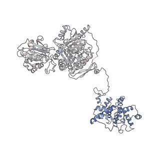 20784_6uia_A_v1-2
Structure of ATP citrate lyase with CoA in a partially open conformation
