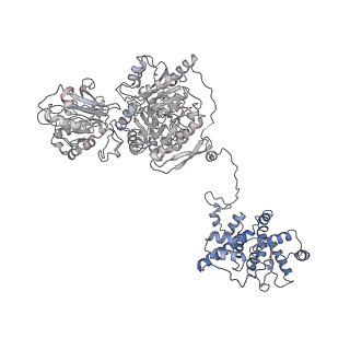 20784_6uia_A_v1-3
Structure of ATP citrate lyase with CoA in a partially open conformation