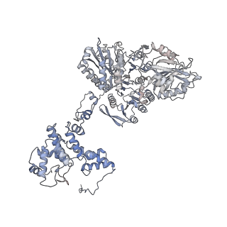 20784_6uia_B_v1-2
Structure of ATP citrate lyase with CoA in a partially open conformation