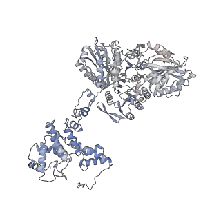 20784_6uia_B_v1-3
Structure of ATP citrate lyase with CoA in a partially open conformation