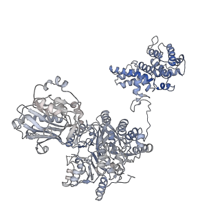 20784_6uia_D_v1-2
Structure of ATP citrate lyase with CoA in a partially open conformation