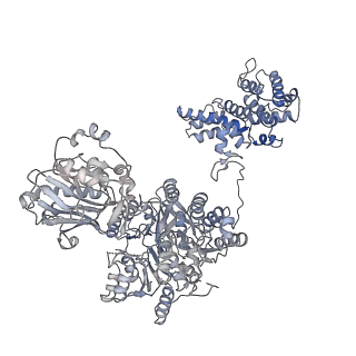 20784_6uia_D_v1-3
Structure of ATP citrate lyase with CoA in a partially open conformation