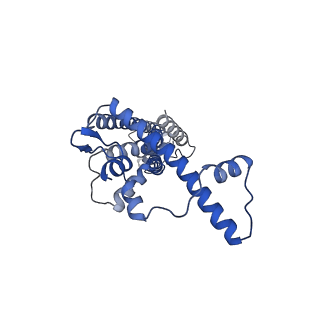 20788_6uiv_A_v1-2
Cryo-EM structure of human CALHM2 in an active/open state