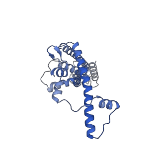 20788_6uiv_B_v1-2
Cryo-EM structure of human CALHM2 in an active/open state