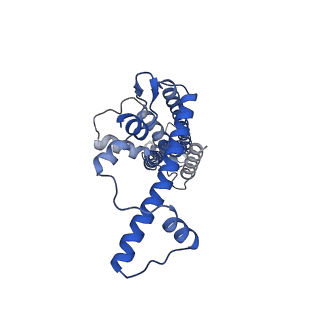 20788_6uiv_C_v1-2
Cryo-EM structure of human CALHM2 in an active/open state
