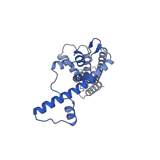 20788_6uiv_D_v1-2
Cryo-EM structure of human CALHM2 in an active/open state